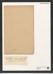 Actinocyclus barklyi (Ehr.?) Grun. (de-Toni-Nr.: Genus 195, Species 4763) Zeichnungen Sammlung Grunow (NHMW-BOT-W0377841)
